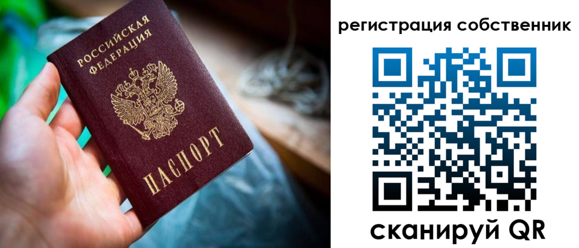 прописка гарантия в Черняховске